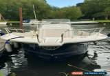Classic White shark boat for Sale