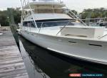 1979 Hatteras Convertible for Sale