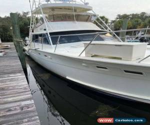 Classic 1979 Hatteras Convertible for Sale