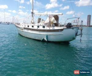 Classic 1981 CABO RICO 38 for Sale