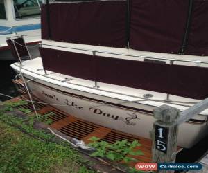 Classic 1981 Chris Craft Catalina 350 for Sale