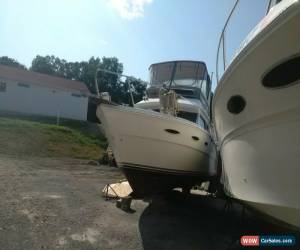 Classic 1986 Searay 300 for Sale