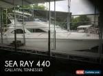 1993 Sea Ray 440 for Sale