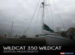 1999 Wildcat 350 Wildcat for Sale