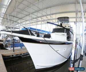 Classic 1979 Hatteras for Sale