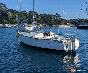Classic J24 Sail yacht for Sale