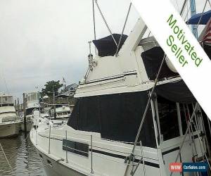 Classic 1988 Bayliner 3870 for Sale