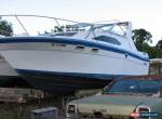 1988 Bayliner  Cruisers for Sale
