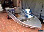 2009 BlueFin 3.4m Boat for Sale