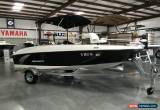 Classic 2015 Bayliner 160 Element for Sale