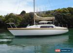 Hutton 24ft fixed keel fiberglass yacht very tidy wow! (sydney harbour) No Reser for Sale