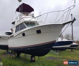 Classic 1981 Carver 3007 Aft Cabin for Sale