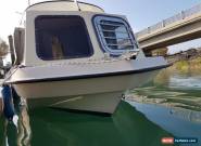 Seahog shortie fishing boat dory for Sale