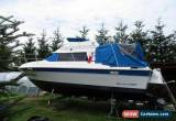 Classic Bayliner 2556 Ciera Yacht , Motor Boat  for Sale