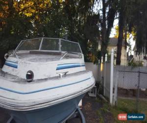 Classic 1985 Sea Ray Seville for Sale