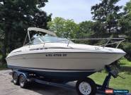 1996 Sea Ray Express Cruiser for Sale