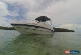 Classic 1999 Chaparral 2335 SS for Sale