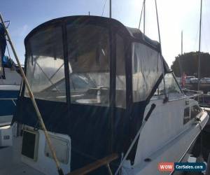Classic 1985 Bayliner for Sale
