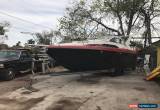 Classic 1989 Bayliner for Sale