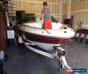 Classic 1994 Sea Ray for Sale