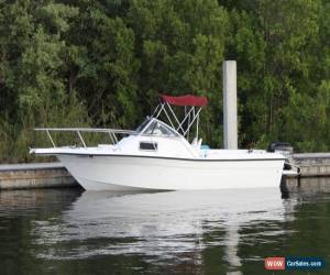 Classic 1994 Celebrity 2300 Walkround for Sale