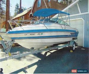 Classic 1987 Sea Ray Seville for Sale